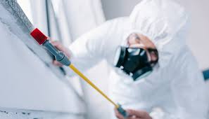 Best Fumigation Services  in Mayer, AZ